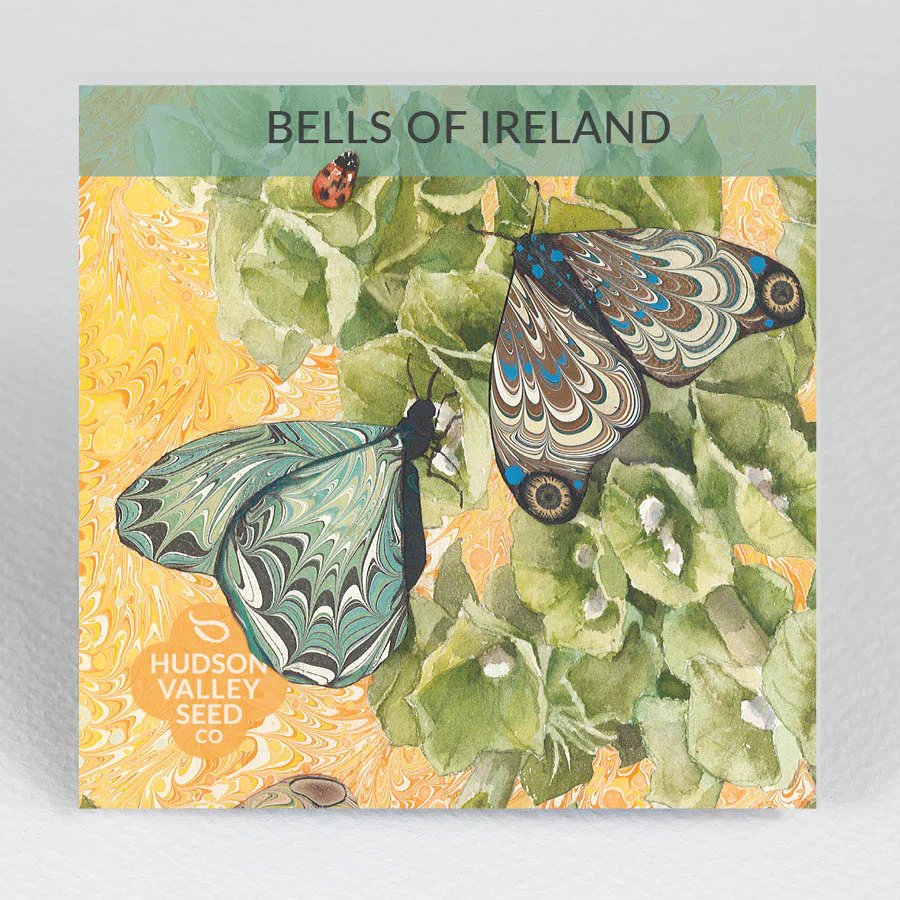 HV Bells of Ireland